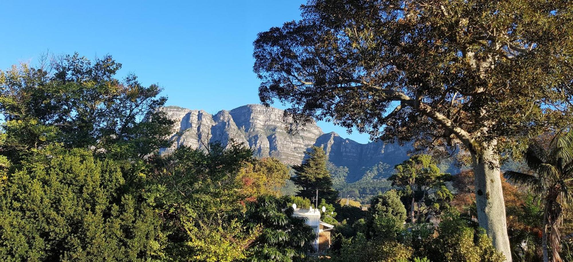 Riversong Guest House Cape Town Luaran gambar